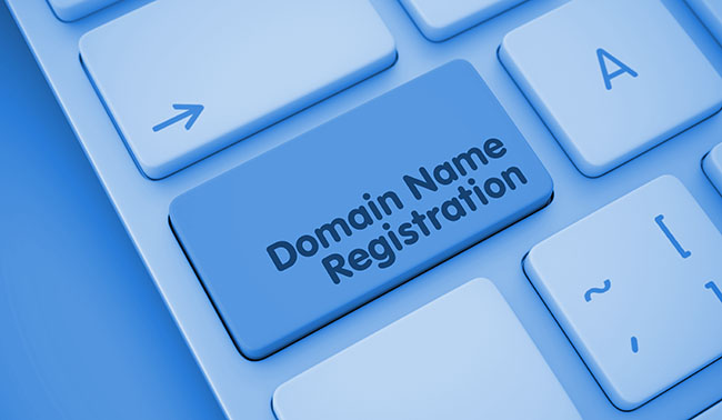 Bulk Domain Registration